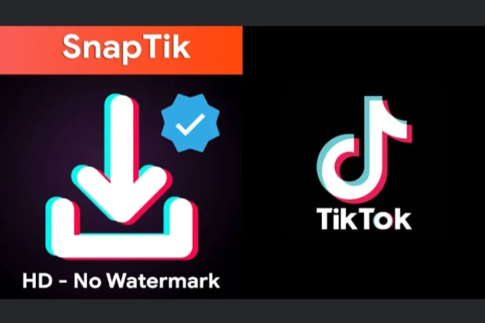 Snaptik Mengubah Cara Pengguna Menyimpan Konten TikTok